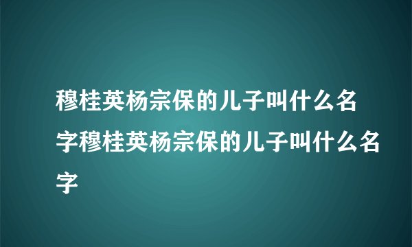 穆桂英杨宗保的儿子叫什么名字穆桂英杨宗保的儿子叫什么名字