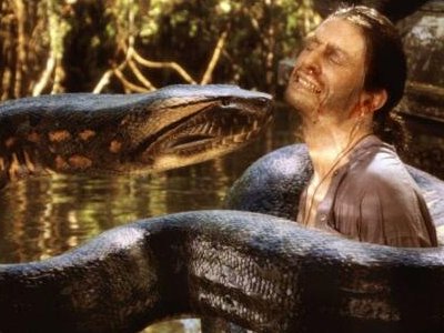 水蚺和蟒蛇的区别是什么？