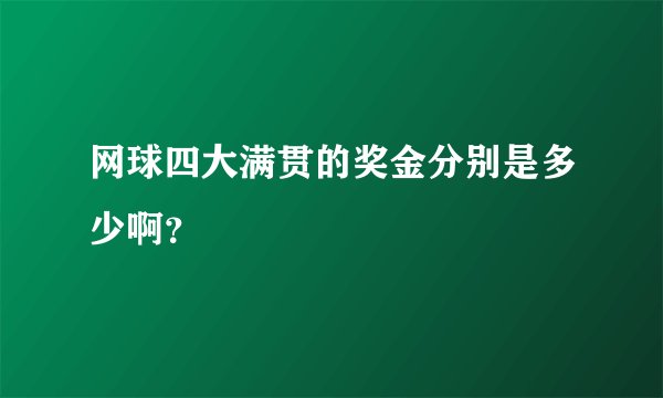 网球四大满贯的奖金分别是多少啊？