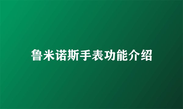 鲁米诺斯手表功能介绍