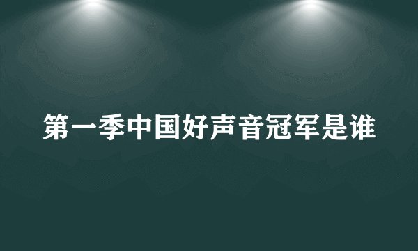 第一季中国好声音冠军是谁