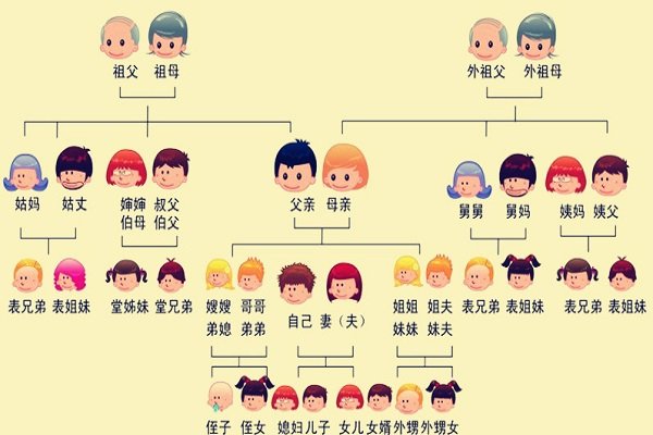 姨夫和姨父的意思一样吗