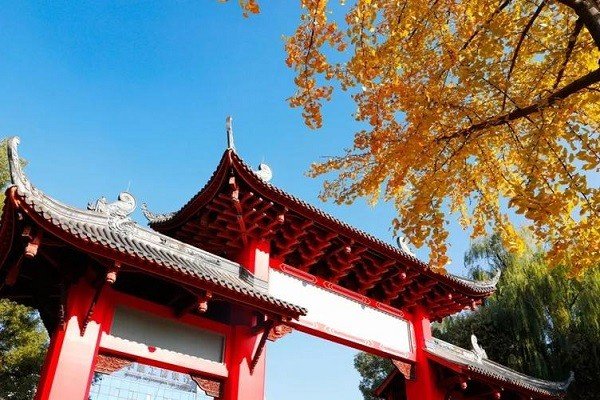 浮山中学为什么这么厉害