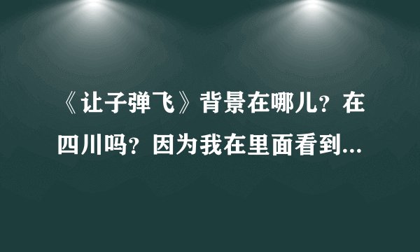 《让子弹飞》背景在哪儿？在四川吗？因为我在里面看到了“西康省”。不知是在今天的川西的康定地区吗？
