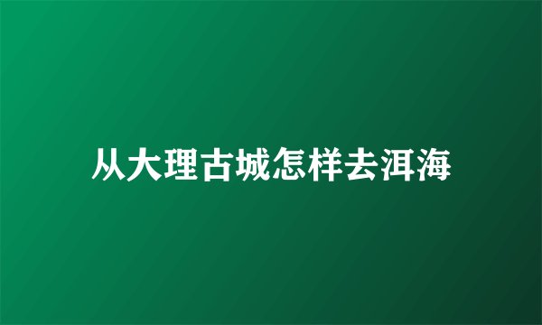 从大理古城怎样去洱海