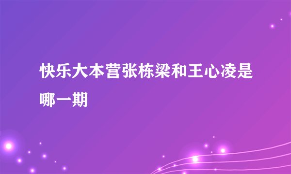 快乐大本营张栋梁和王心凌是哪一期