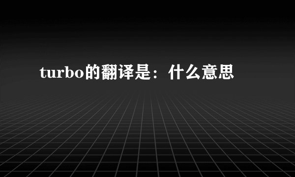 turbo的翻译是：什么意思