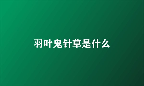 羽叶鬼针草是什么