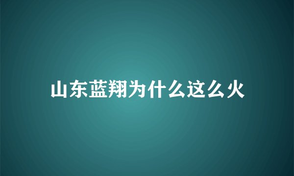 山东蓝翔为什么这么火