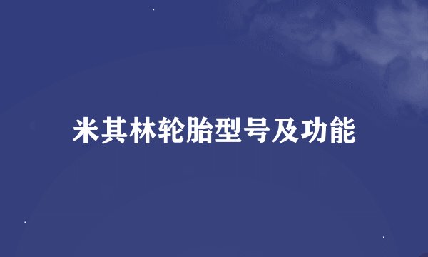 米其林轮胎型号及功能