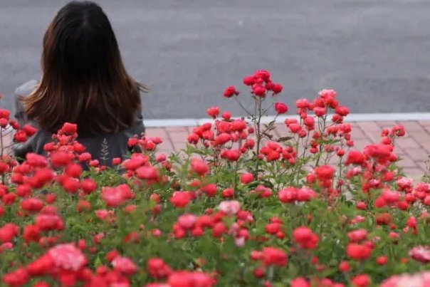 新鲜事可以写哪些