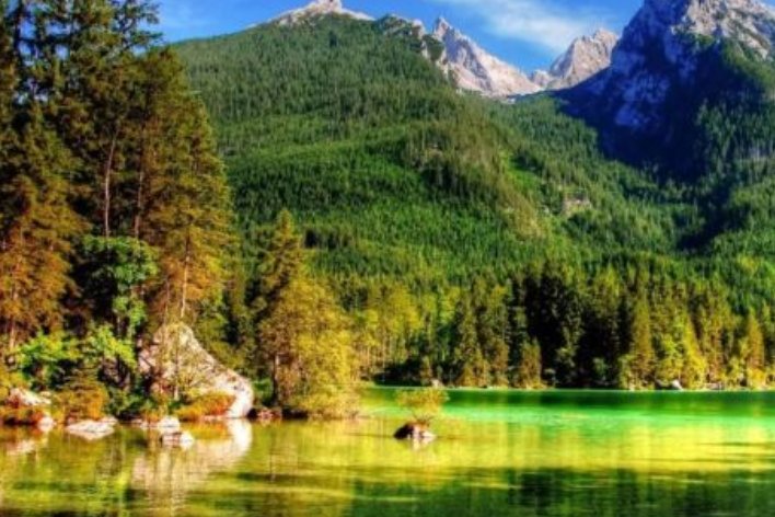 懂的拼音和词语