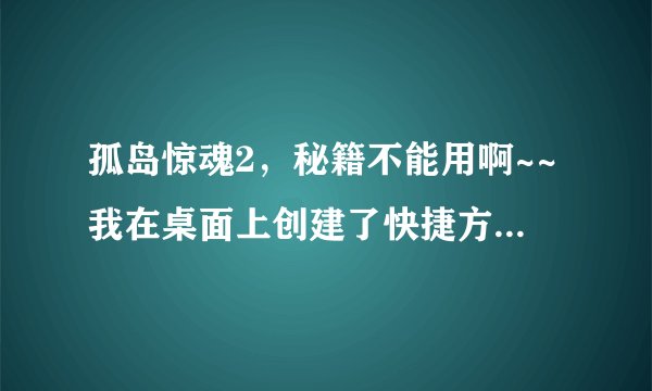 孤岛惊魂2，秘籍不能用啊~~我在桌面上创建了快捷方式，然后属性exe的后面输入-DEVMODE，空格也加了