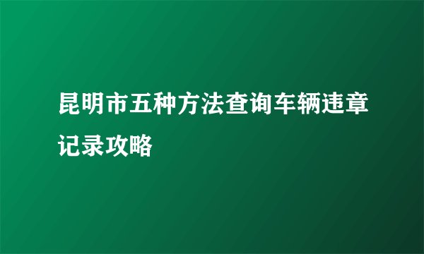 昆明市五种方法查询车辆违章记录攻略
