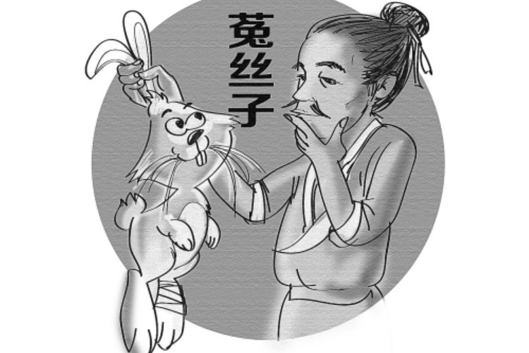 兔丝燕麦啥意思