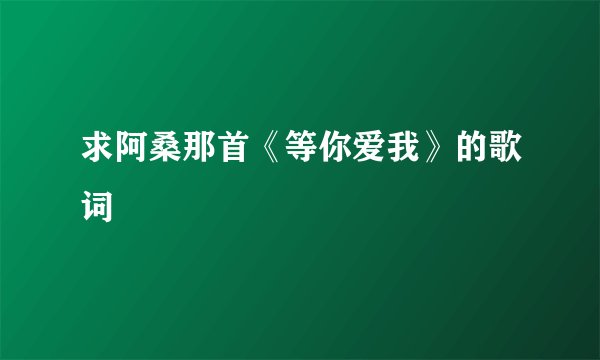 求阿桑那首《等你爱我》的歌词