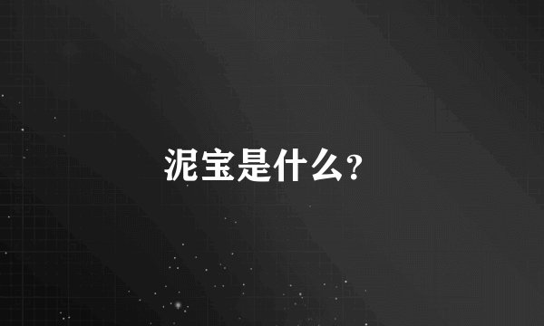 泥宝是什么？