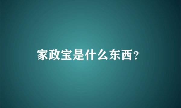 家政宝是什么东西？