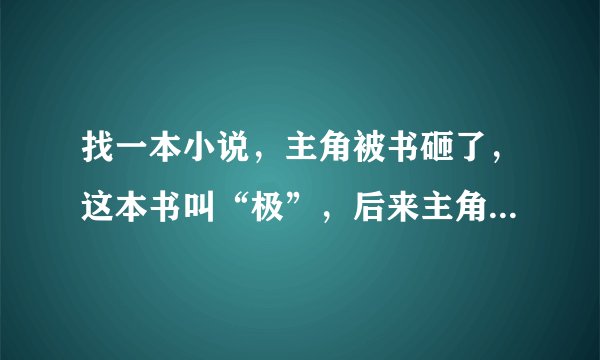 找一本小说，主角被书砸了，这本书叫“极”，后来主角进监狱了。
