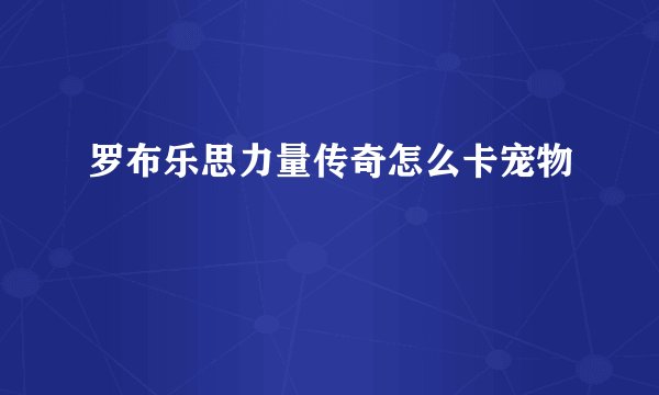 罗布乐思力量传奇怎么卡宠物