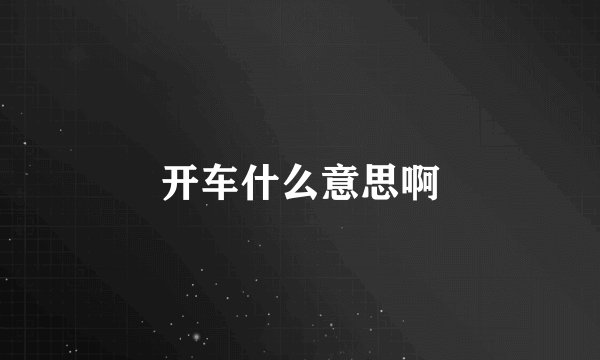 开车什么意思啊