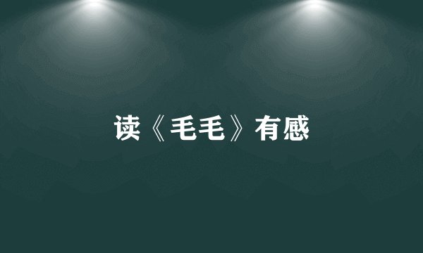 读《毛毛》有感