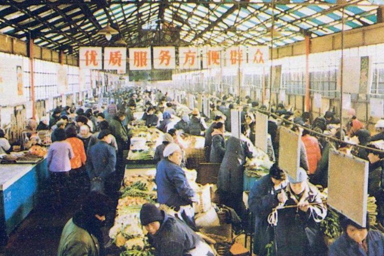 番禺梁柏楠结局