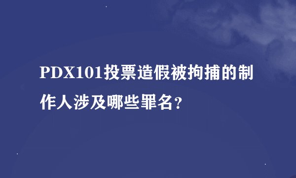 PDX101投票造假被拘捕的制作人涉及哪些罪名？