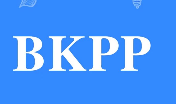 bkpp是真的吗?
