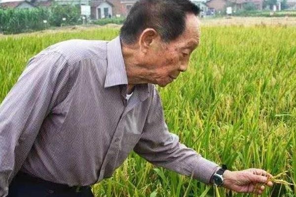 殡仪馆不接待群众悼念袁隆平院士,袁隆平的丧事会如何举办?