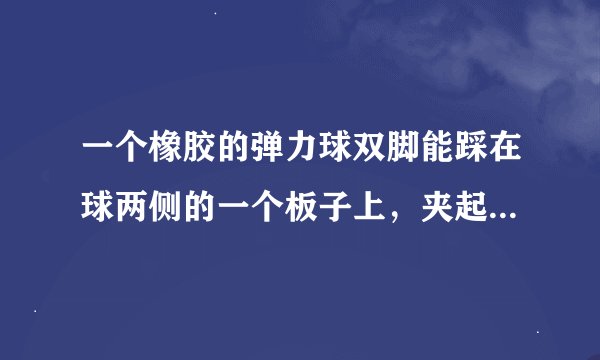 一个橡胶的弹力球双脚能踩在球两侧的一个板子上，夹起来可以蹦 那个叫什么东西谁能告诉我一下