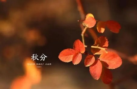 秋分竖蛋是什么意思啊