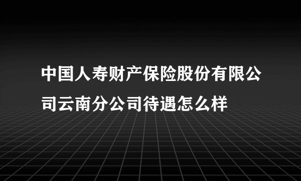 中国人寿财产保险股份有限公司云南分公司待遇怎么样