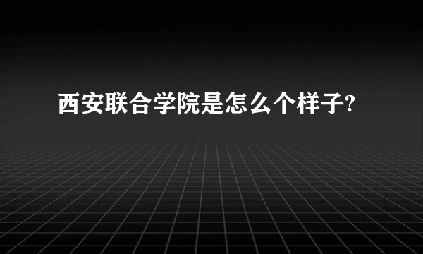 西安联合学院是怎么个样子?