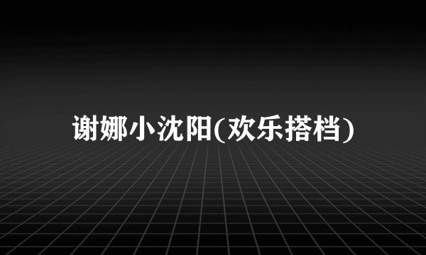 谢娜小沈阳(欢乐搭档)