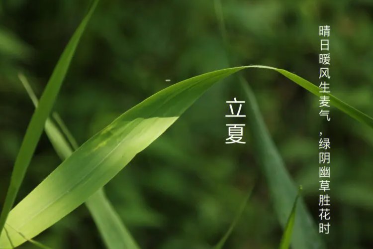 立夏的美好寓意和象征