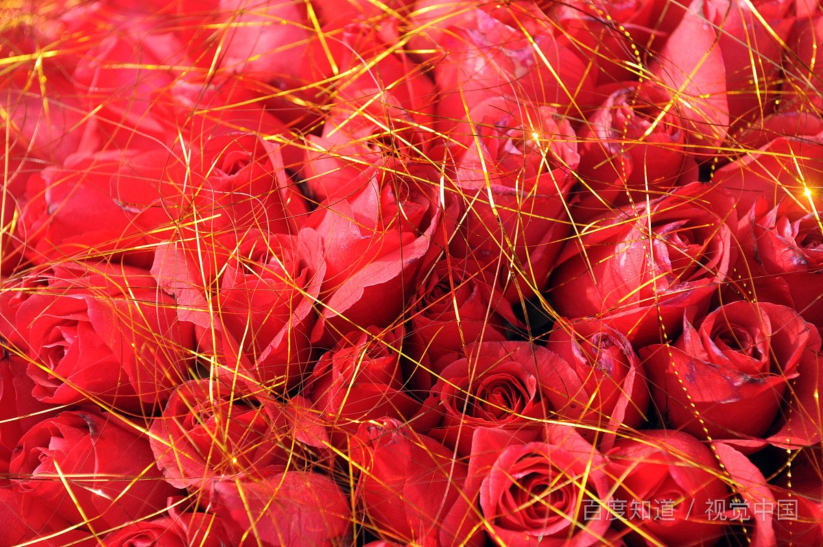 情人节送什么给情人好呢？