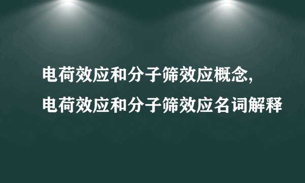 电荷效应和分子筛效应概念,电荷效应和分子筛效应名词解释