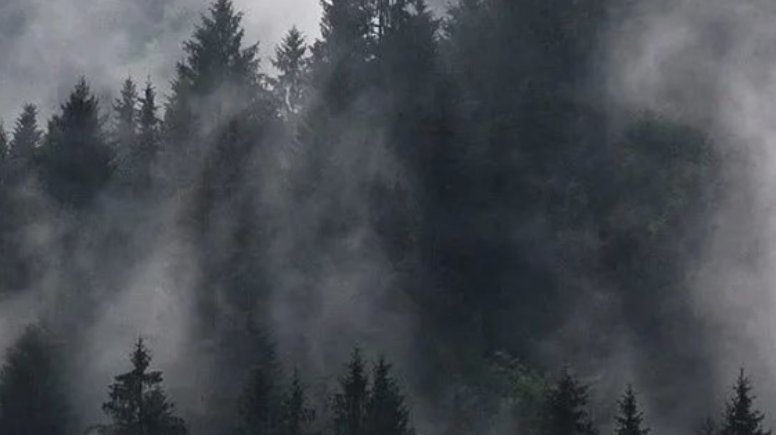 类似乐可类型的小说有哪些