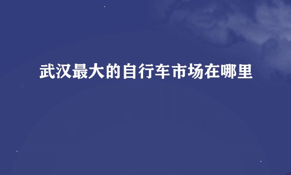 武汉最大的自行车市场在哪里