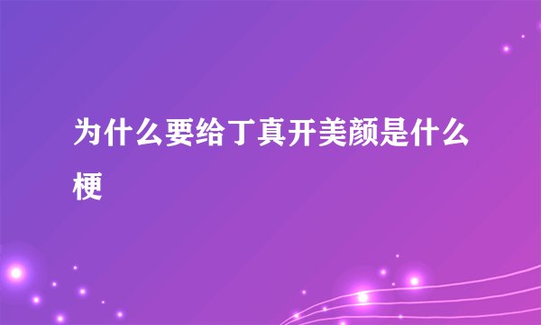 为什么要给丁真开美颜是什么梗
