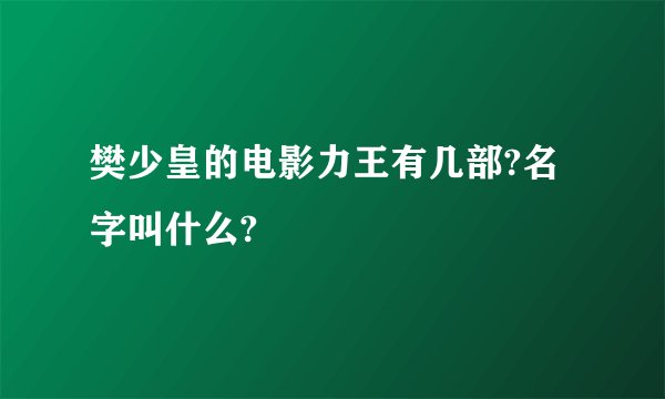 樊少皇的电影力王有几部?名字叫什么?