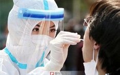 由于工作不力，致贵阳超百万份样本送检滞后，哪些相关人员被处罚？