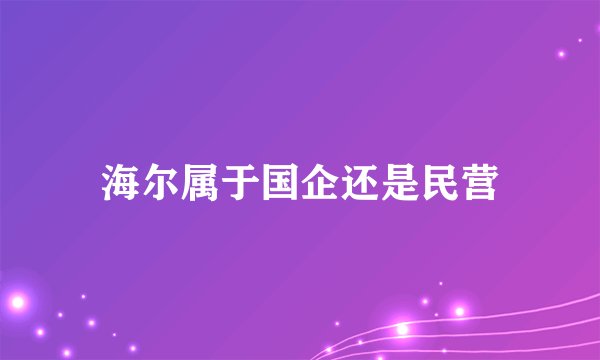 海尔属于国企还是民营