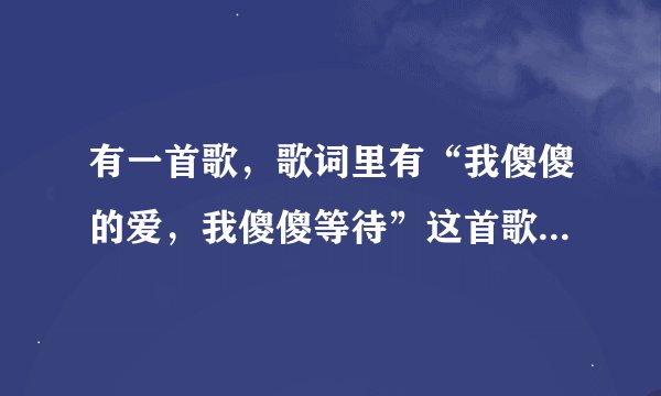 有一首歌，歌词里有“我傻傻的爱，我傻傻等待”这首歌的名字是什么？