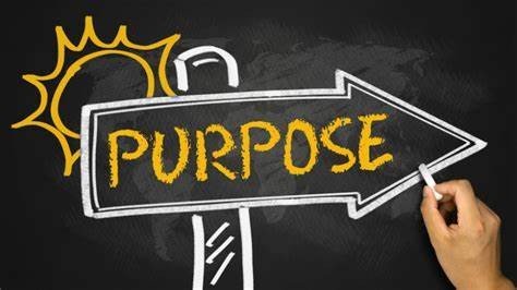 purpose 是什么意思