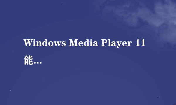 Windows Media Player 11 能不能安装在XP系统之中？