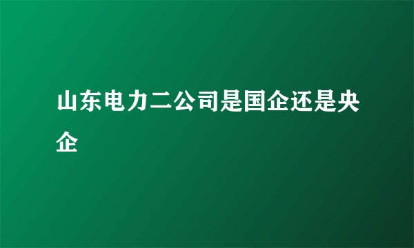 山东电力二公司是国企还是央企