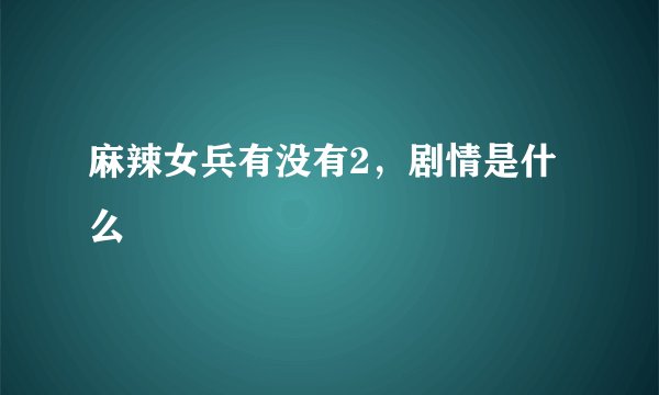 麻辣女兵有没有2，剧情是什么