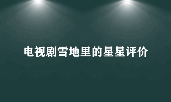电视剧雪地里的星星评价